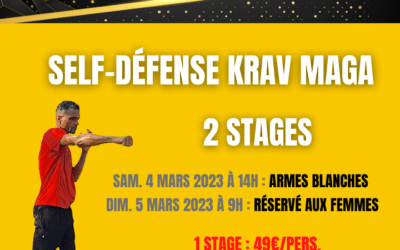 STAGES DE KRAV MAGA A SAINT-MARTIN MARS 2023