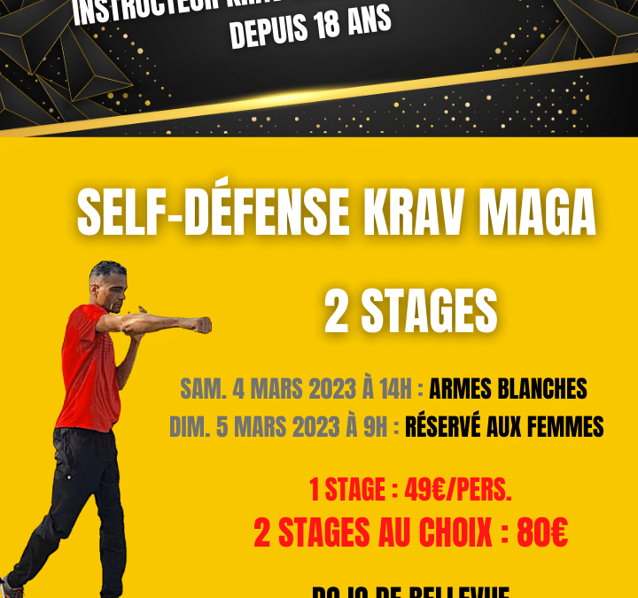 STAGES DE KRAV MAGA A SAINT-MARTIN MARS 2023