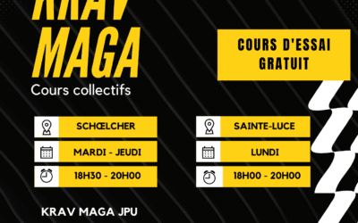 Apprenez à vous défendre et gagnez en confiance – Rejoignez mes cours collectifs de Krav Maga en Martinique !