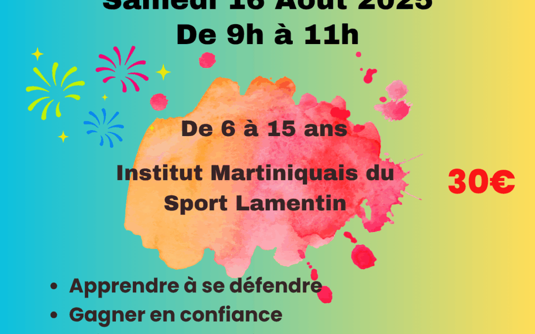 Stage de self-défense Krav Maga pour Enfants et Ados 16/08/20925
