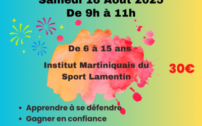 Stage de self-défense Krav Maga pour Enfants et Ados 16/08/20925